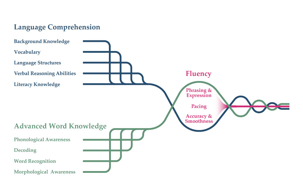 Rapid Program Reading Rope